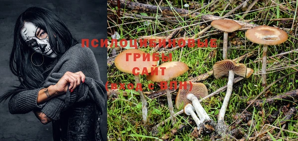 mdpv Переславль-Залесский